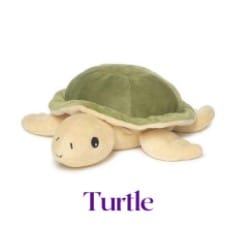 Turtle Warmies Junior